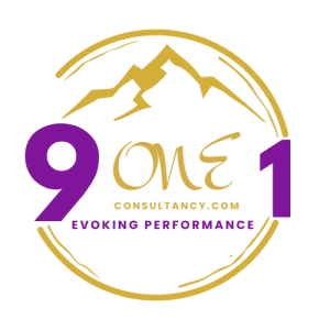 911 consultancy