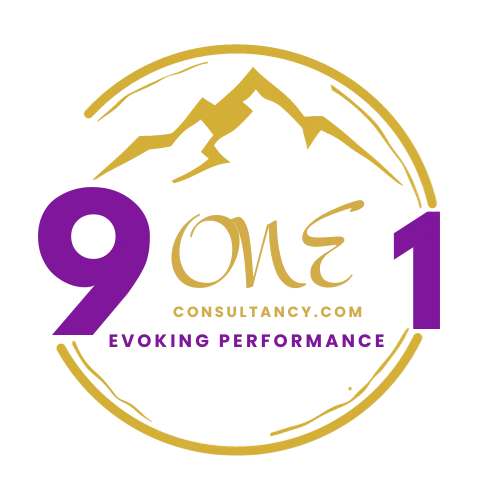 911 consultancy